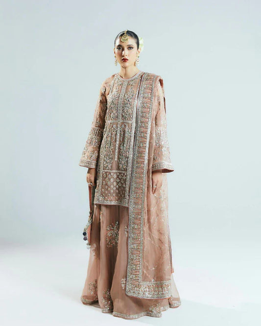 Sehar Collection Peace Pink Wedding Edition